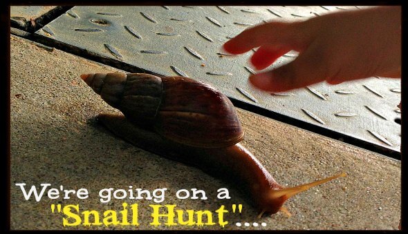 “We’re Going On A Snail Hunt” – A Post Rainy Day Activity