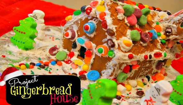 Project Gingerbread House