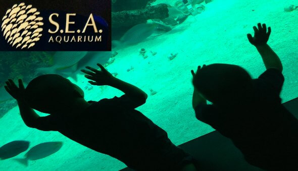 The S.E.A. Aquarium at Resorts World Review