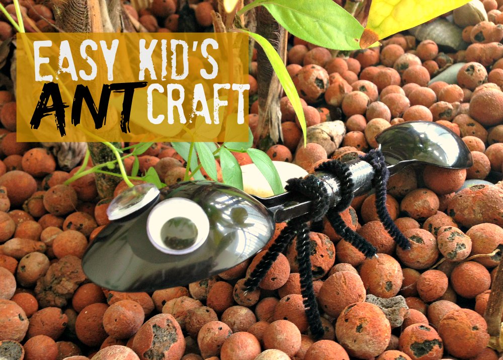 Easy Kid's Ant Craft