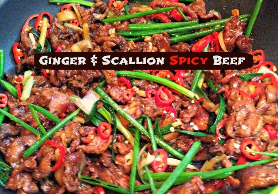 Ginger & Scallion Spicy Beef Recipe