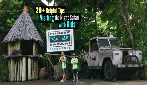 20+ Tips for Visiting the Singapore Night Safari with Kids