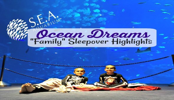 Our “Ocean Dreams” Family Sleepover at the S.E.A. Aquarium