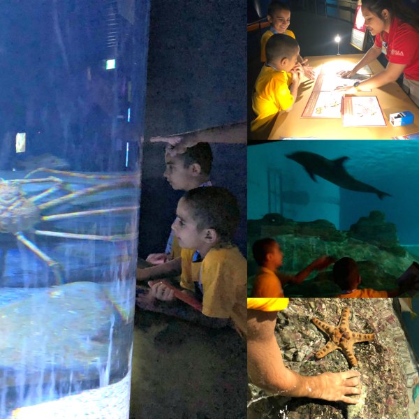 Review Ocean Dreams Sleepover Resorts World SEA Aquarium Singapore Kids Unique Birthday Venue