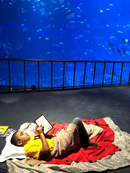  Review Ocean Dreams Sleepover Resorts World SEA Aquarium Singapore Kids Birthday Venue Sentosa