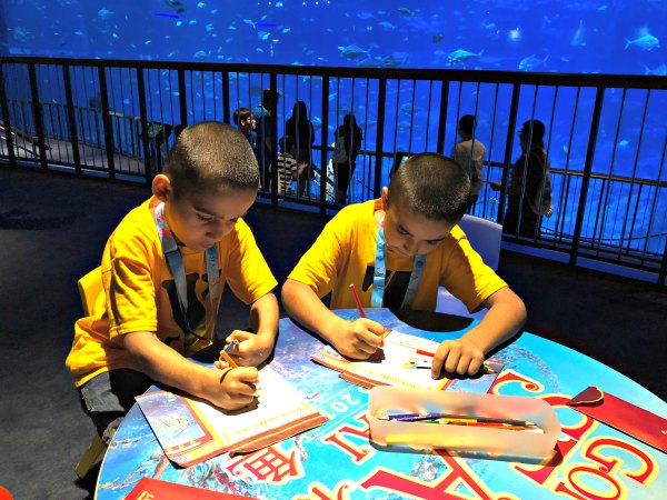 Ocean Dreams Sleepover Resorts World SEA Aquarium Singapore Kids Activities Places to visit