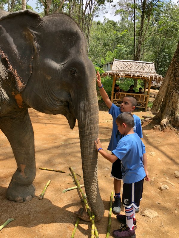 Elephant Jungle Sanctuary Reviews - Things to do in Phuket Chiang Mai with Kids 3